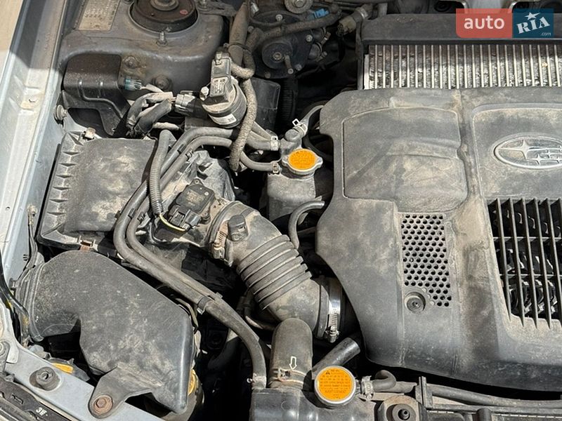 Внедорожник / Кроссовер Subaru Forester 2005 в Киеве