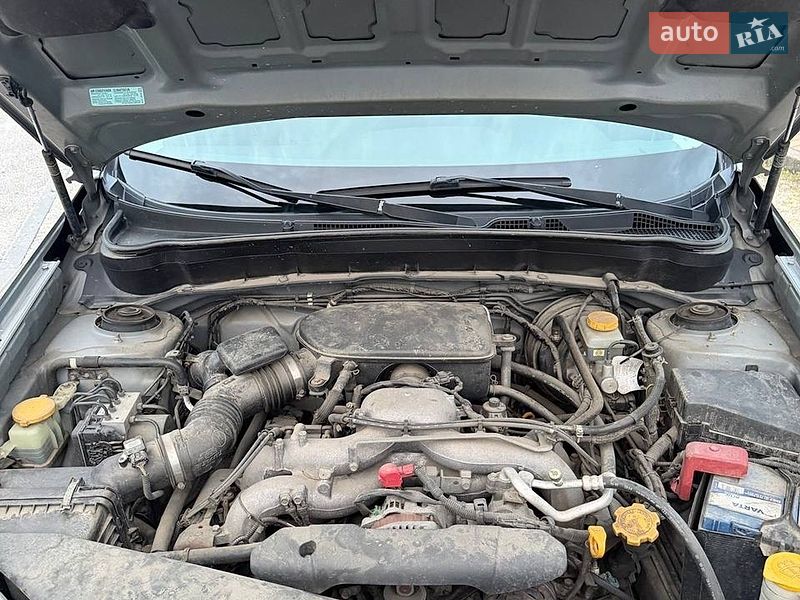 Внедорожник / Кроссовер Subaru Forester 2008 в Днепре