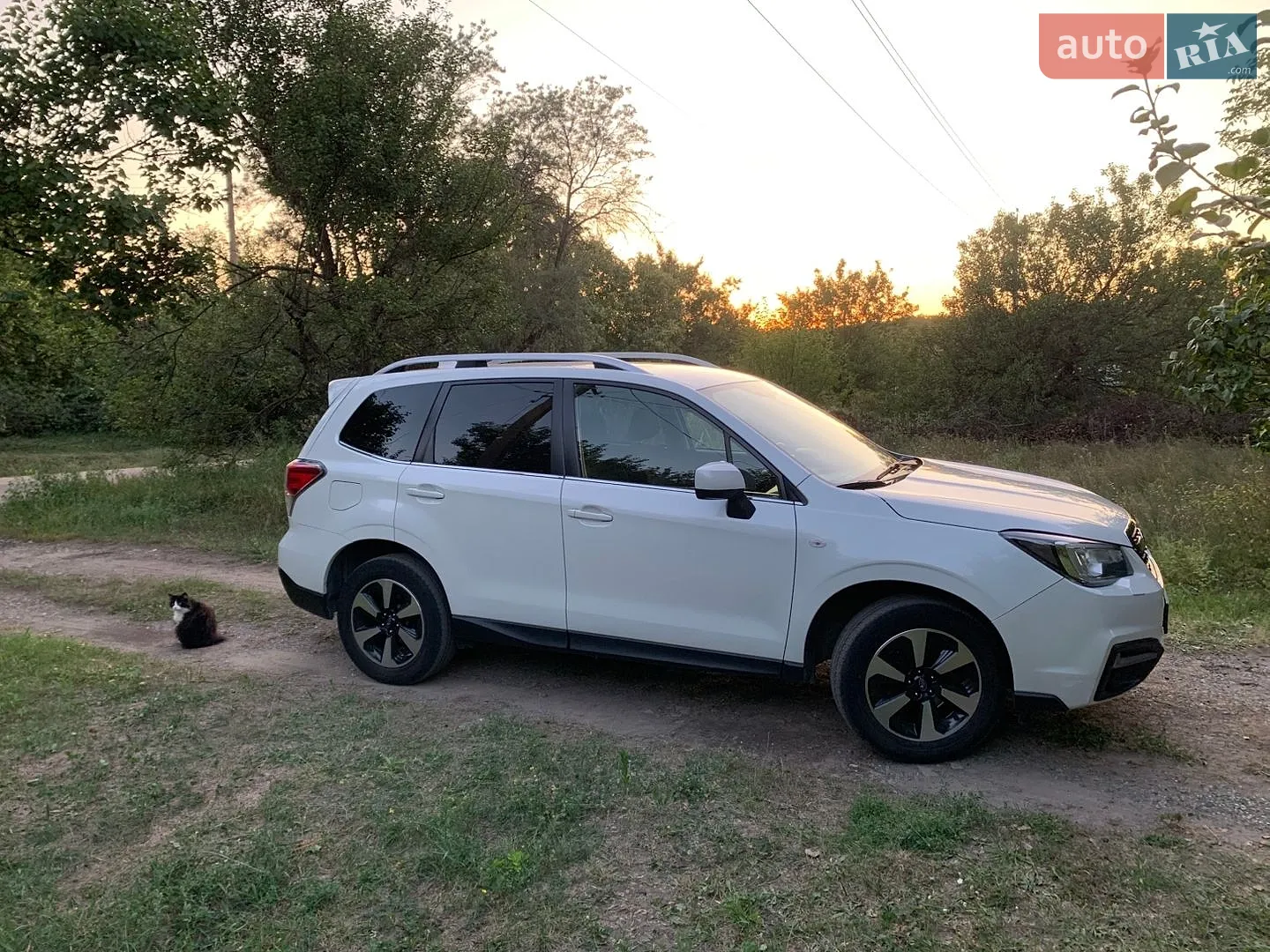2017 Subaru Forester - мініатюра 40