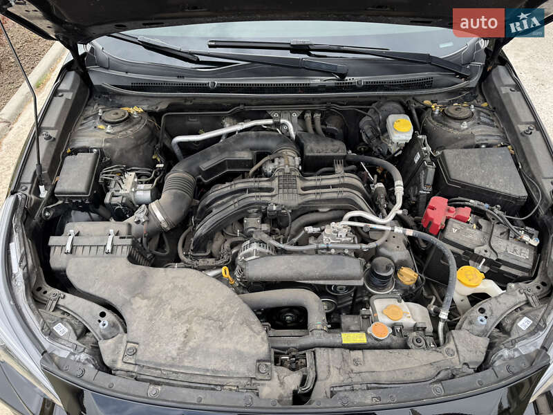 Внедорожник / Кроссовер Subaru Outback 2023 в Новомосковске фото 21 Внедорожник / Кроссовер Subaru Outback 2023 в Новомосковске