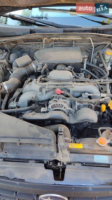 Універсал Subaru Outback 2007 в Бердичеві