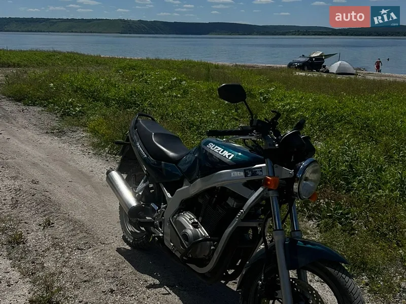 Suzuki GS 500 2001
