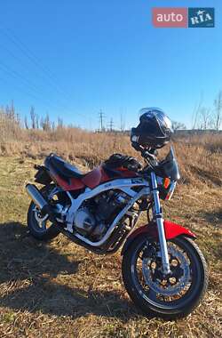 Мотоцикл Классик Suzuki GS 500E 1999 в 