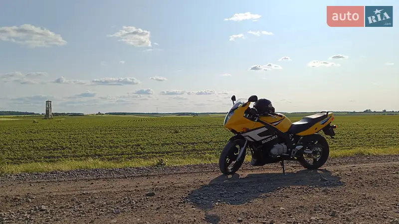 Suzuki GS 500F 2006