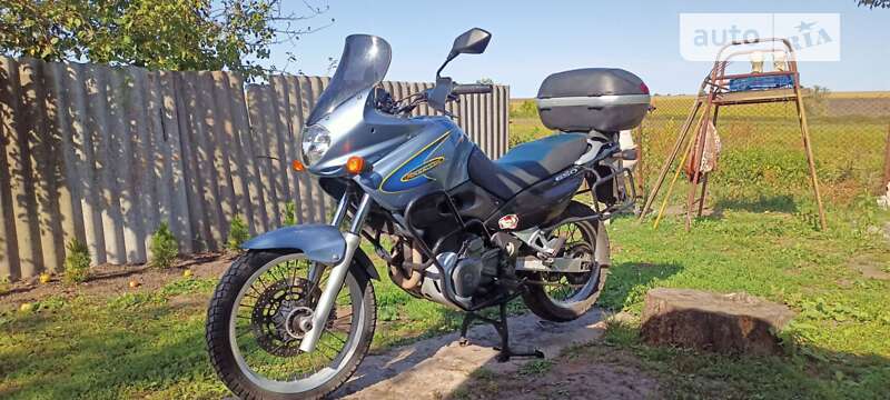 Мотоцикл Многоцелевой (All-round) Suzuki XF 650 Freewind 2001 в 
