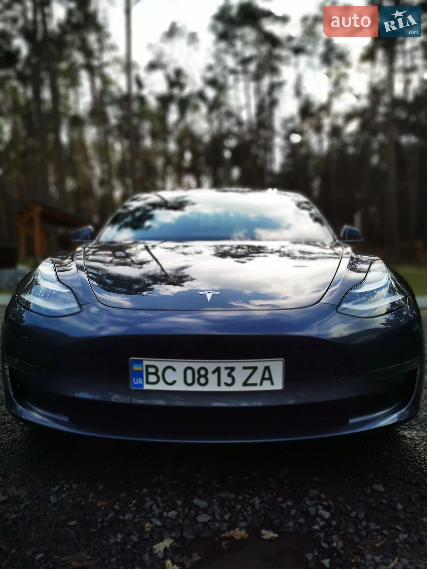 2020 Tesla Model 3 - мініатюра 3