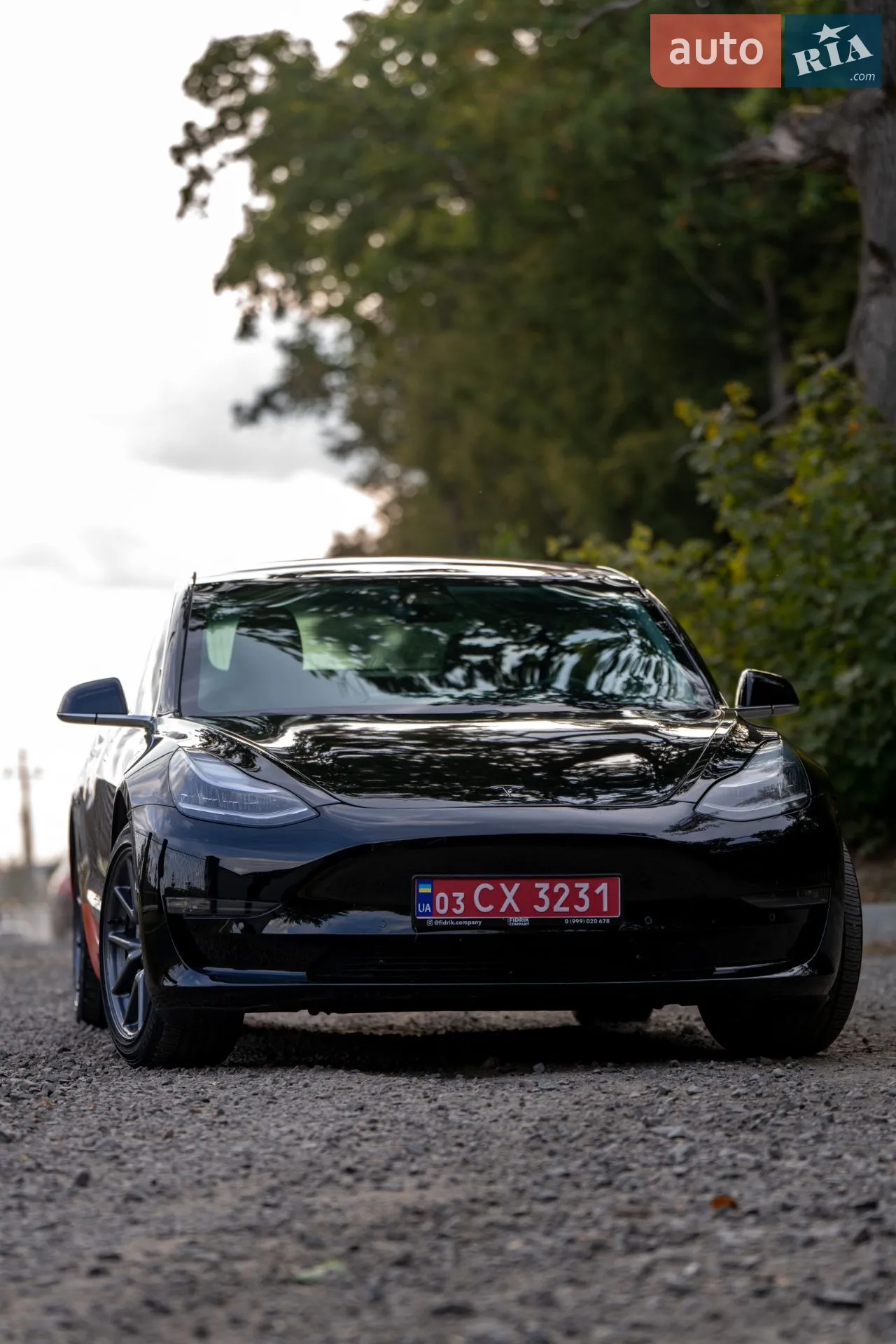 2018 Tesla Model 3 - мініатюра 11