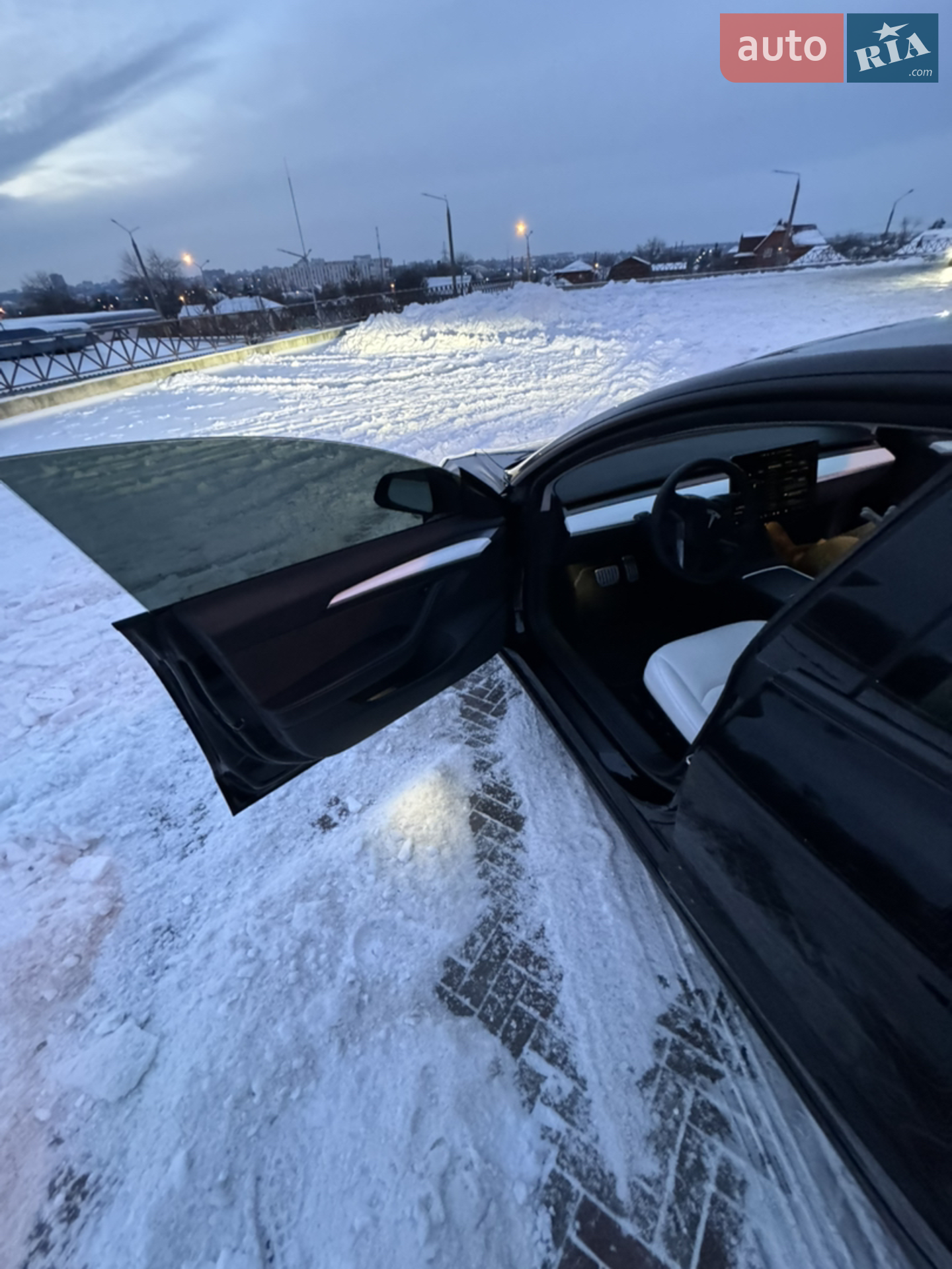 2022 Tesla Model 3 - мініатюра 44