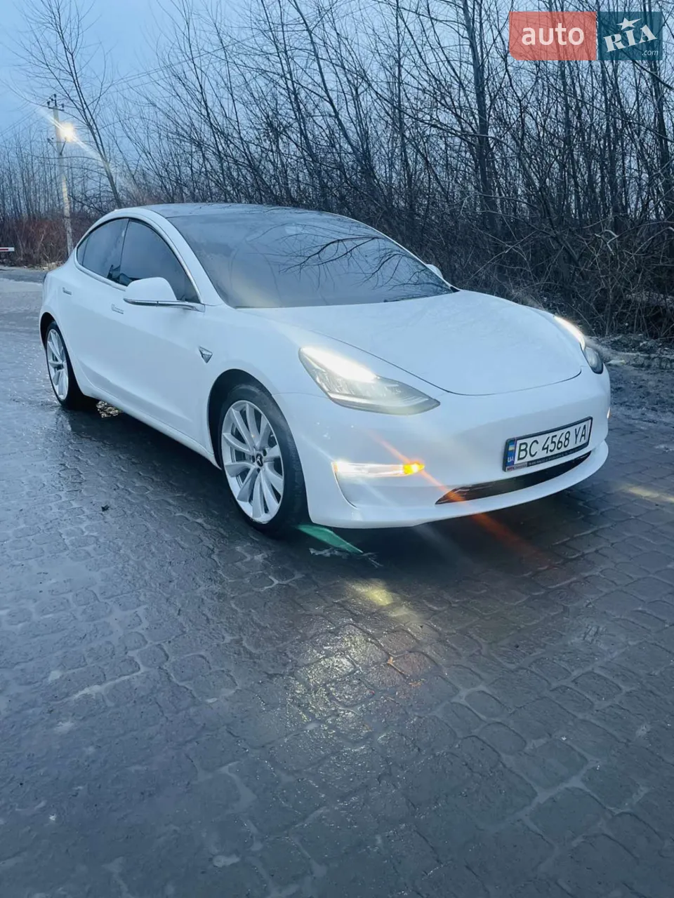2019 Tesla Model 3 - мініатюра 12