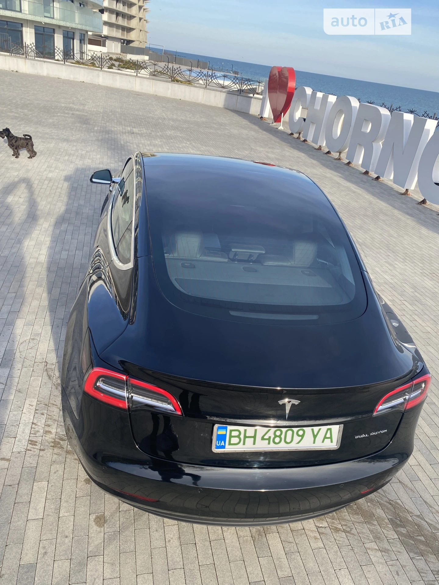 2019 Tesla Model 3 - мініатюра 15