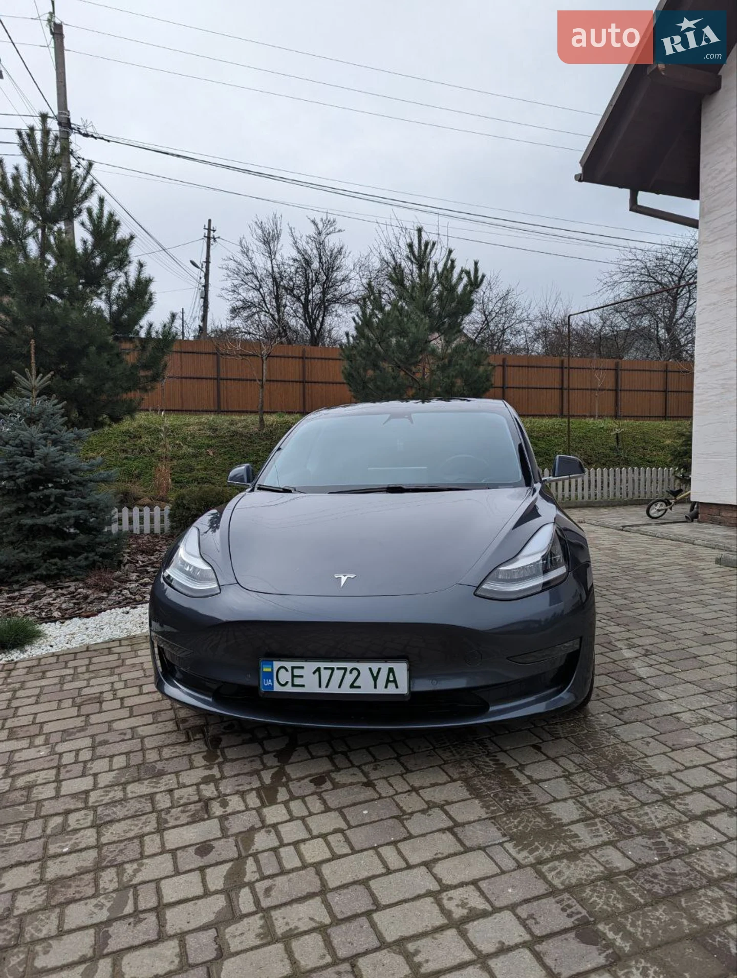 2019 Tesla Model 3 - мініатюра 3