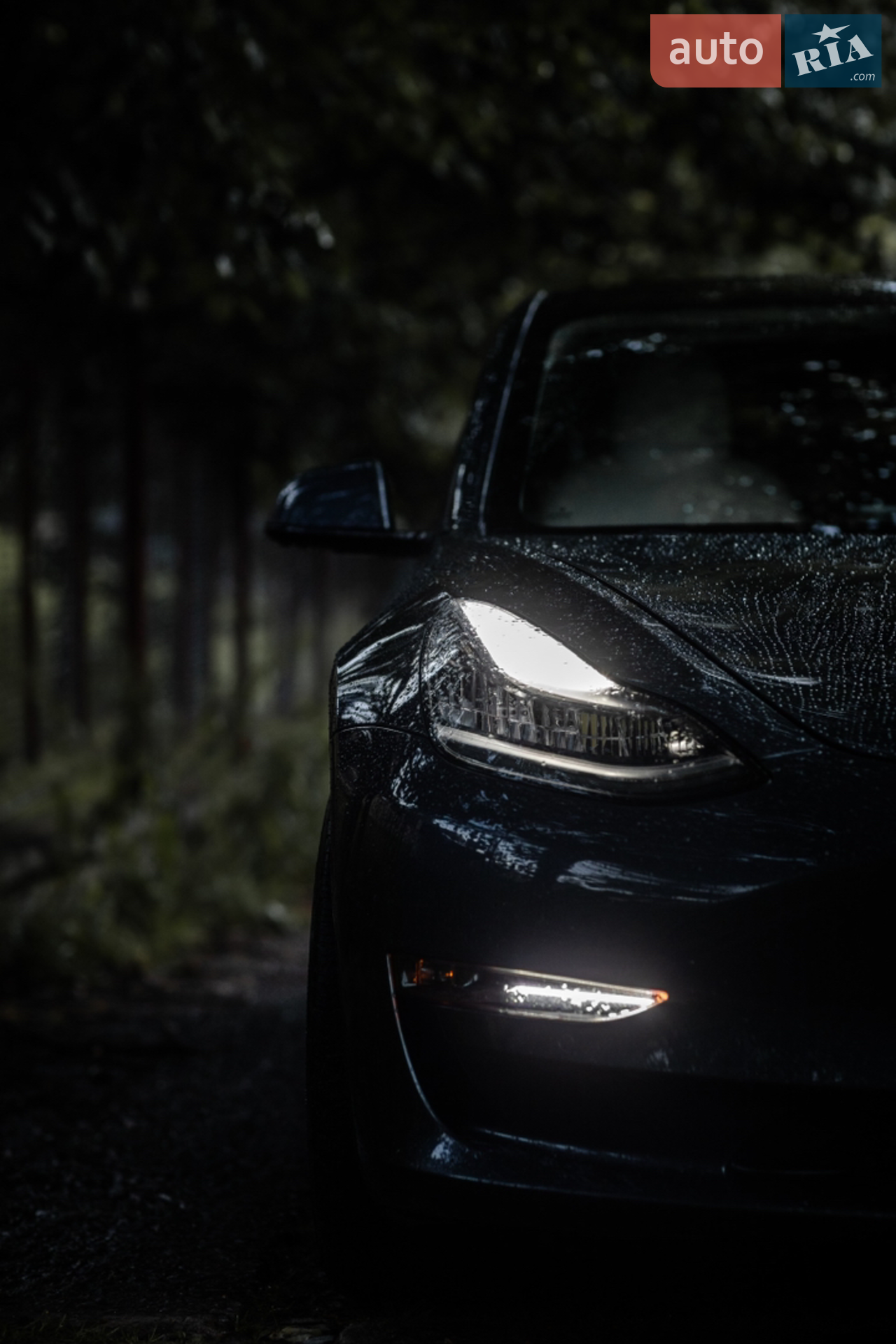 2020 Tesla Model 3 - мініатюра 28