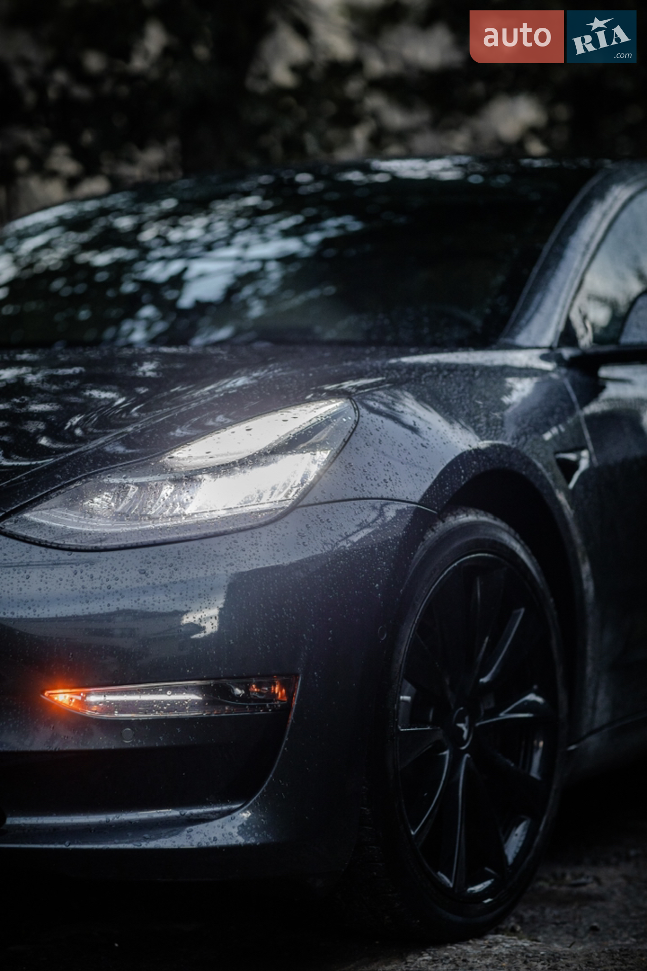 2020 Tesla Model 3 - мініатюра 32