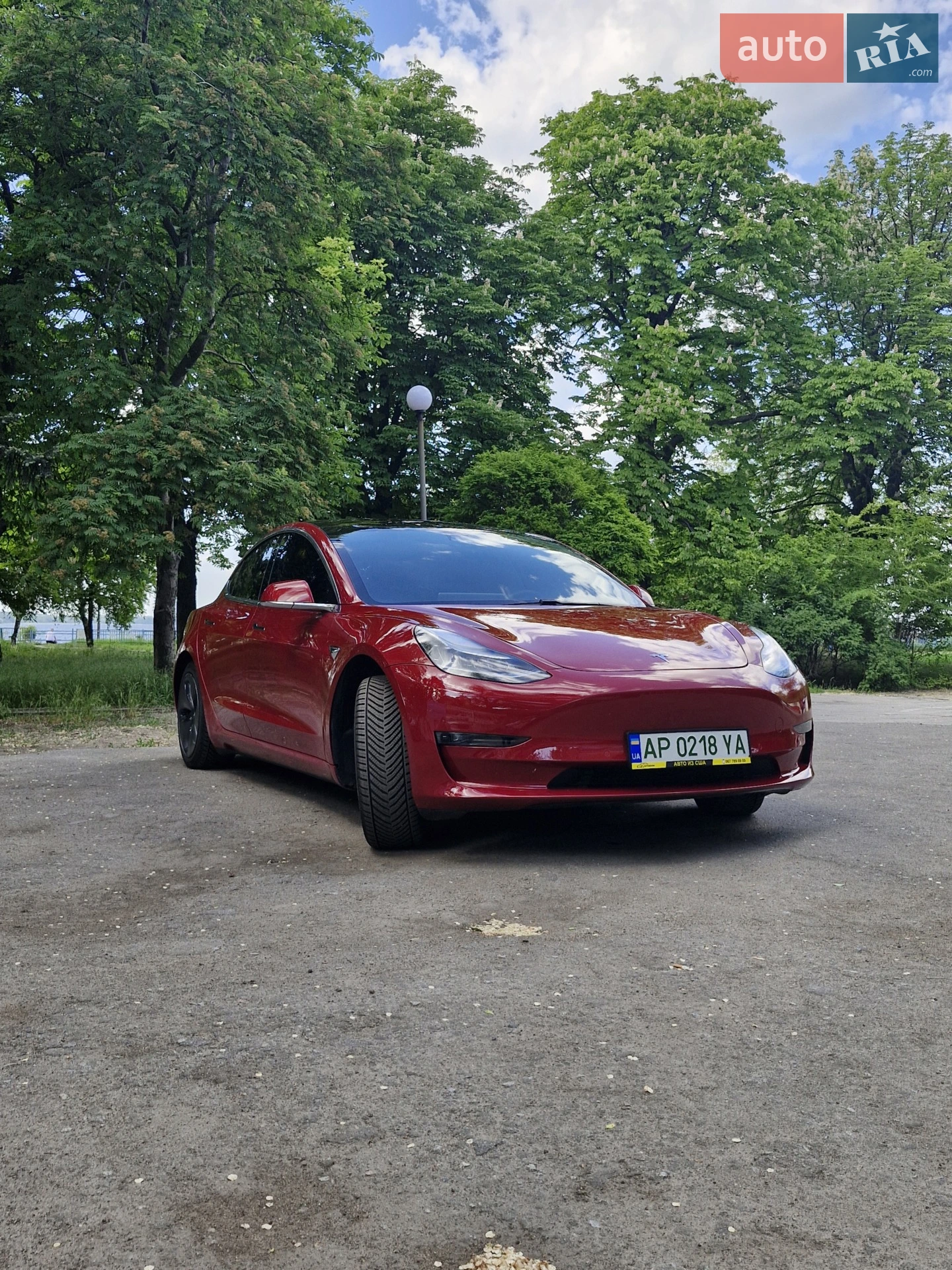 2019 Tesla Model 3 - мініатюра 6