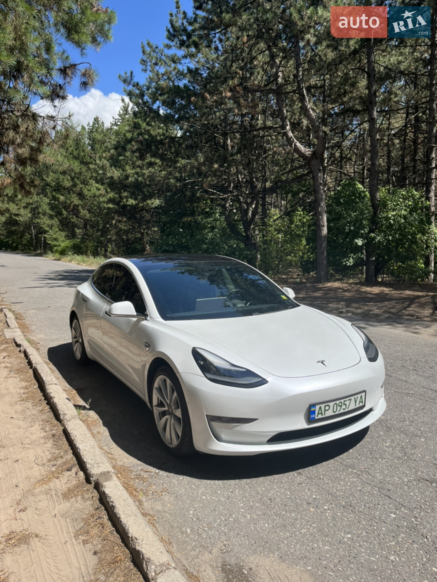 2019 Tesla Model 3 - мініатюра 8