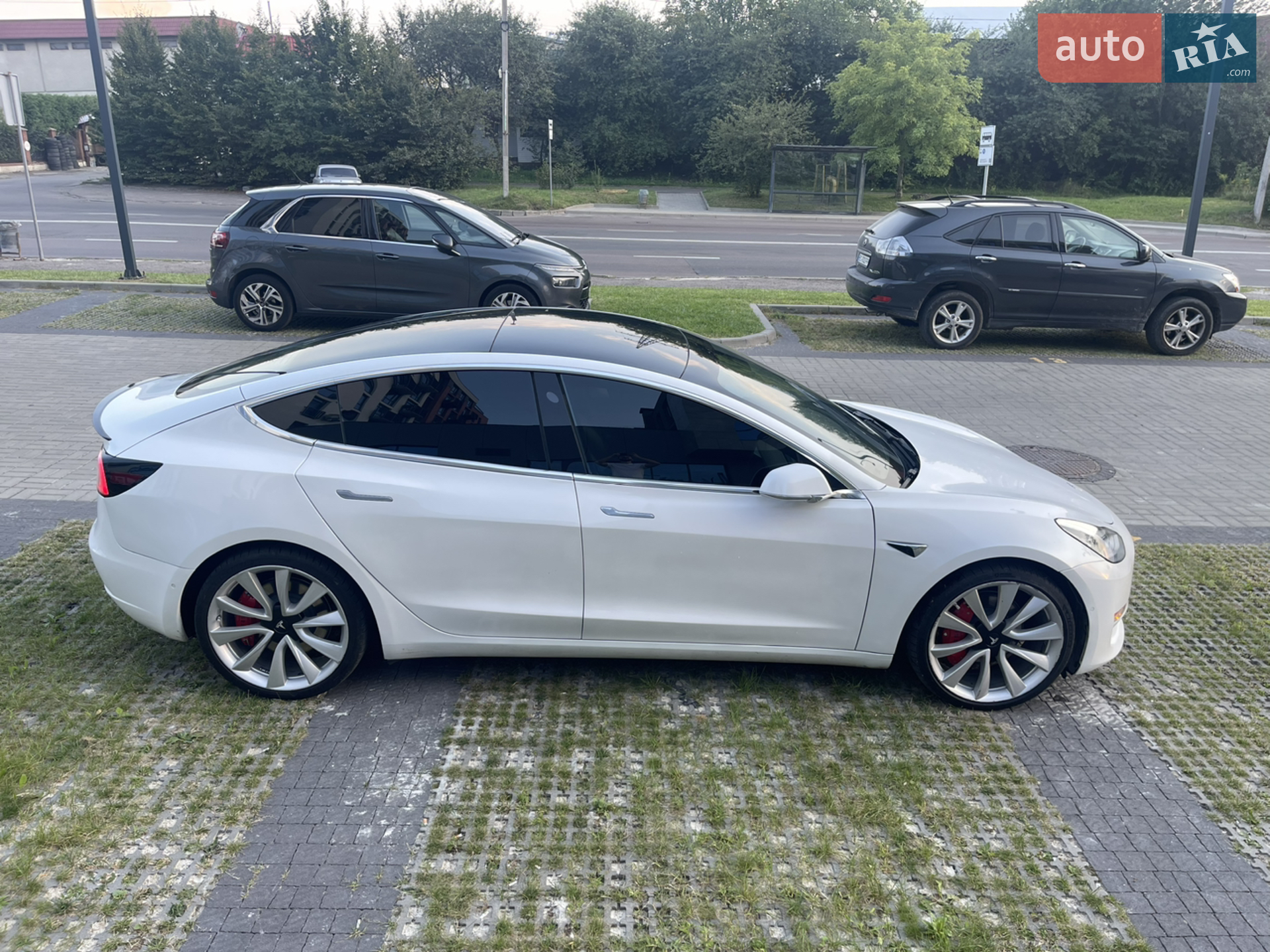 2019 Tesla Model 3 - мініатюра 28