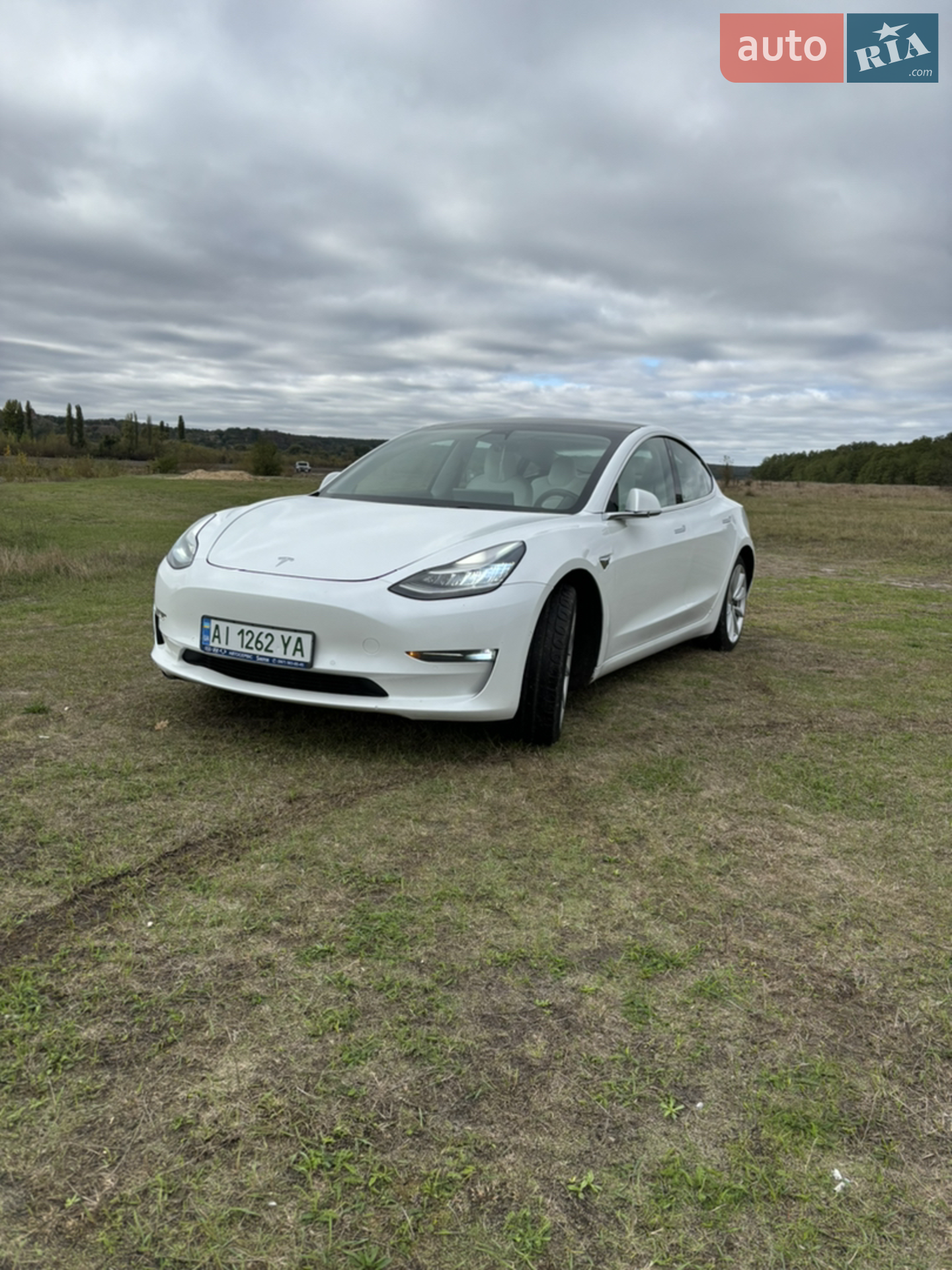 2019 Tesla Model 3 - мініатюра 6