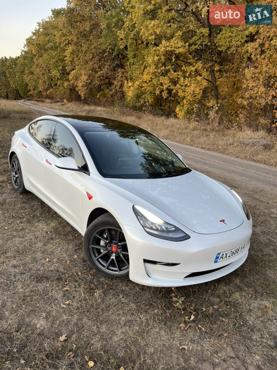 2021 Tesla Model 3 - мініатюра 14