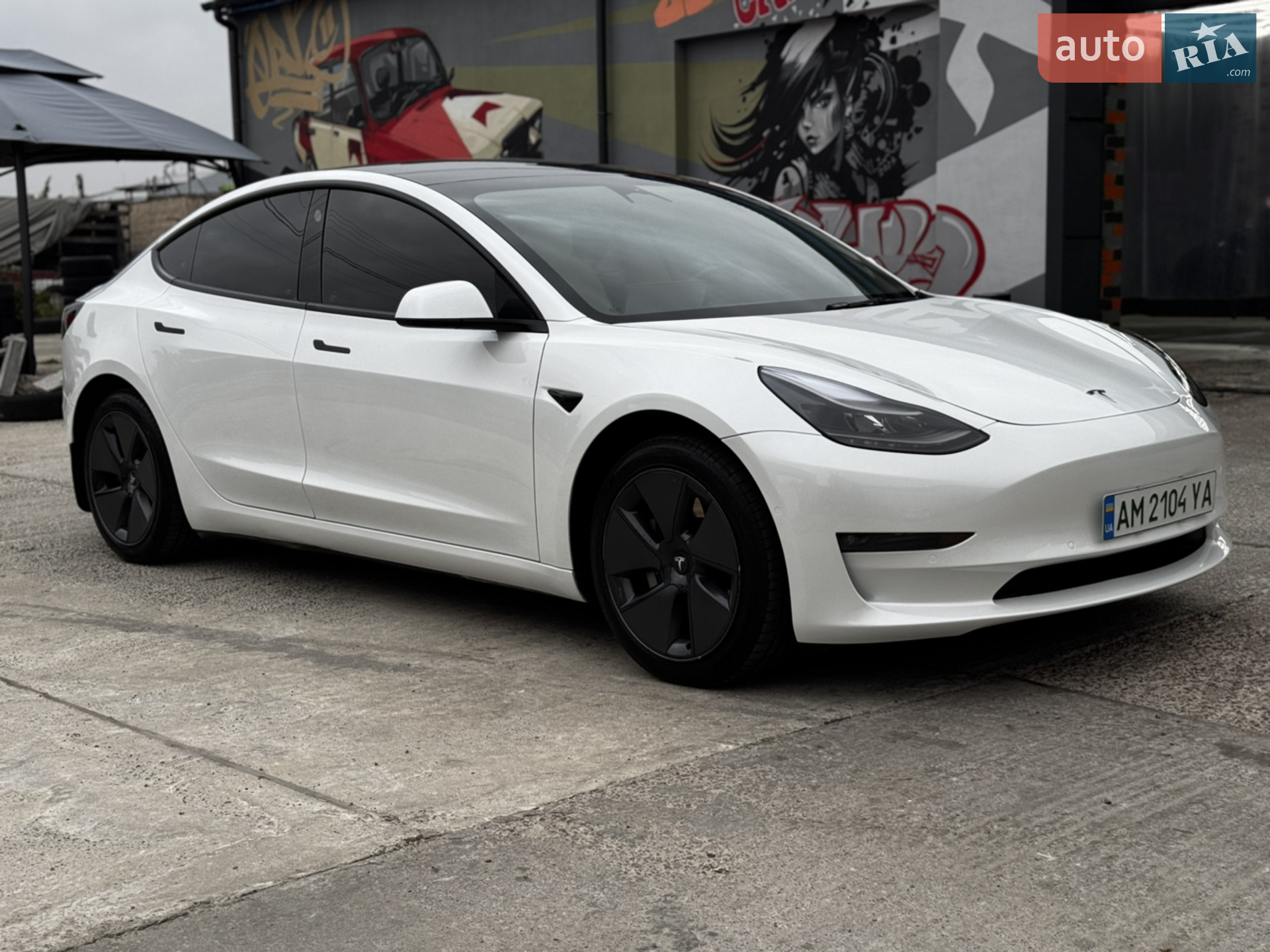 2022 Tesla Model 3 - фото 1