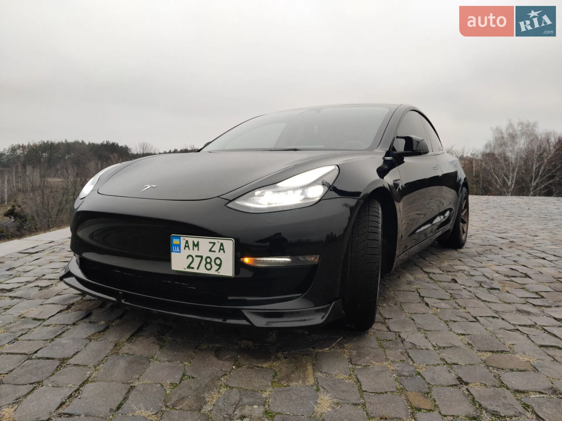 2022 Tesla Model 3 - мініатюра 2
