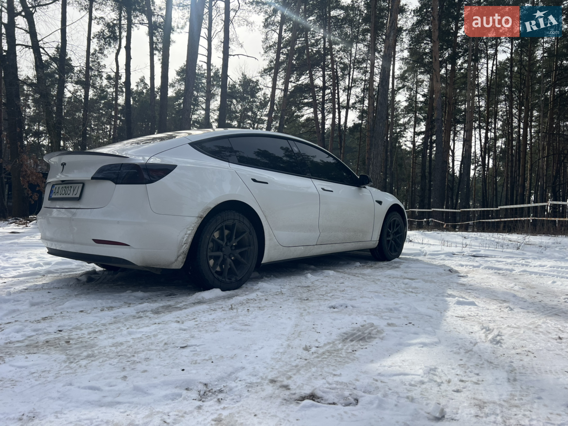 2021 Tesla Model 3 - мініатюра 9