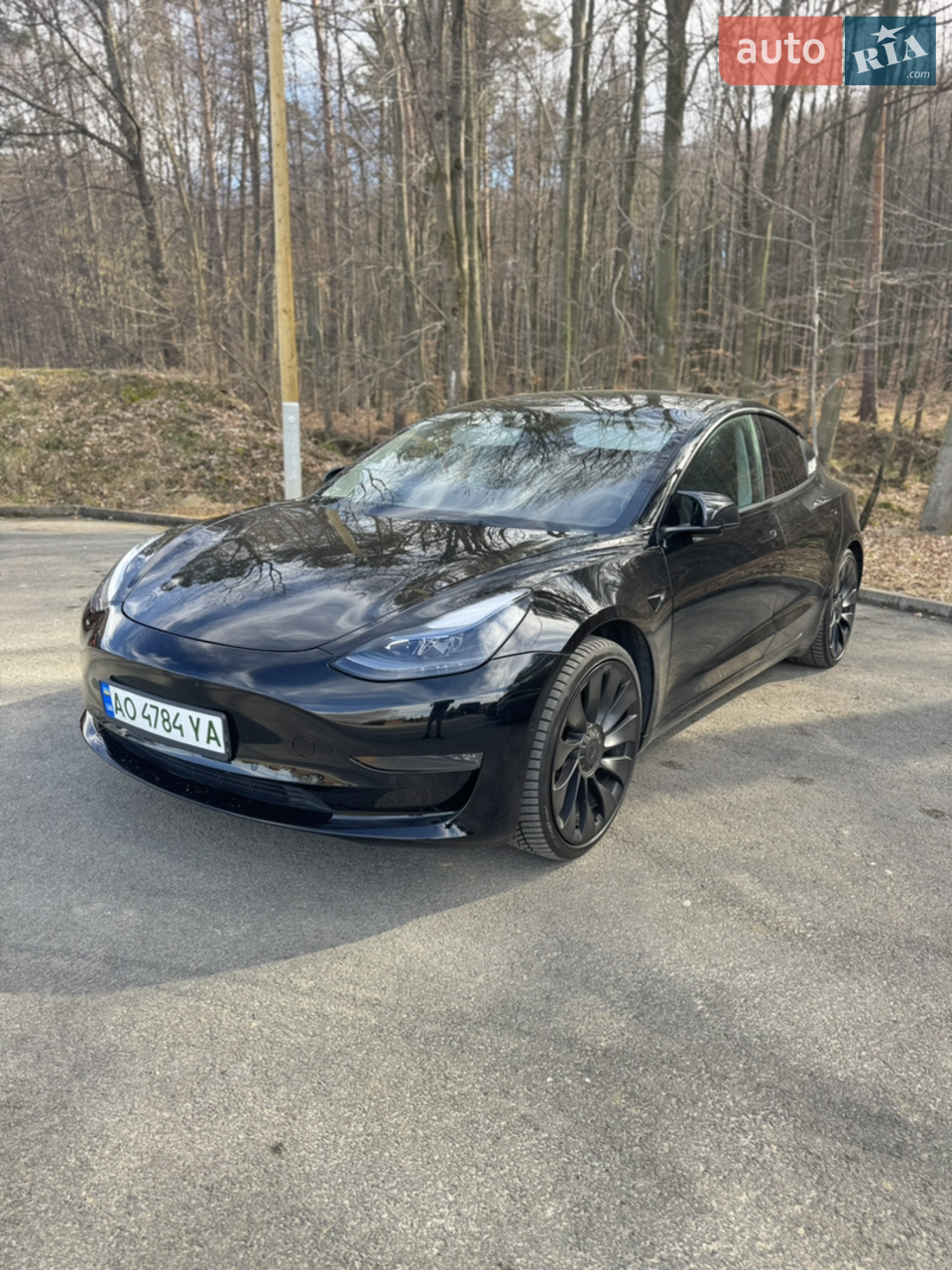 2021 Tesla Model 3 - мініатюра 13