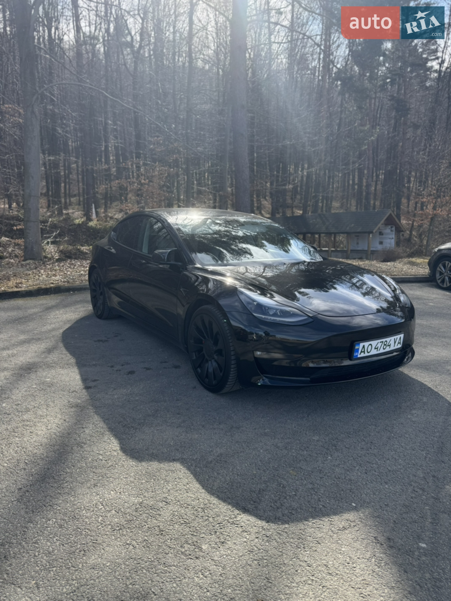 2021 Tesla Model 3 - мініатюра 2