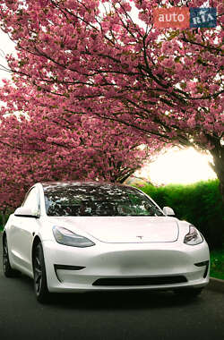 Tesla Model 3 2021 Tesla Model 3 2021