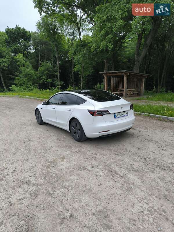Седан Tesla Model 3 2021 в Бережанах фото 4 Седан Tesla Model 3 2021 в Бережанах