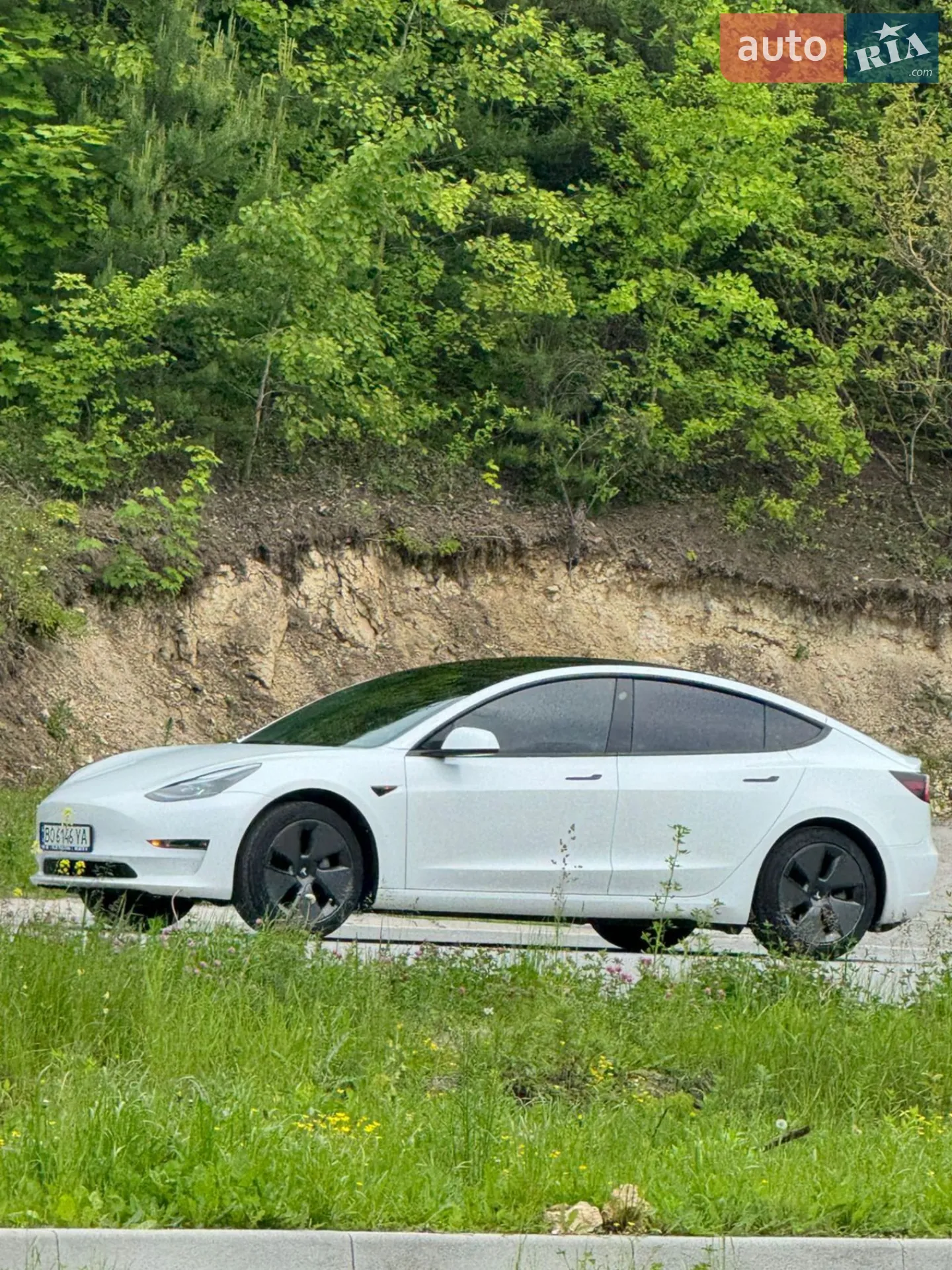 2021 Tesla Model 3 - мініатюра 24