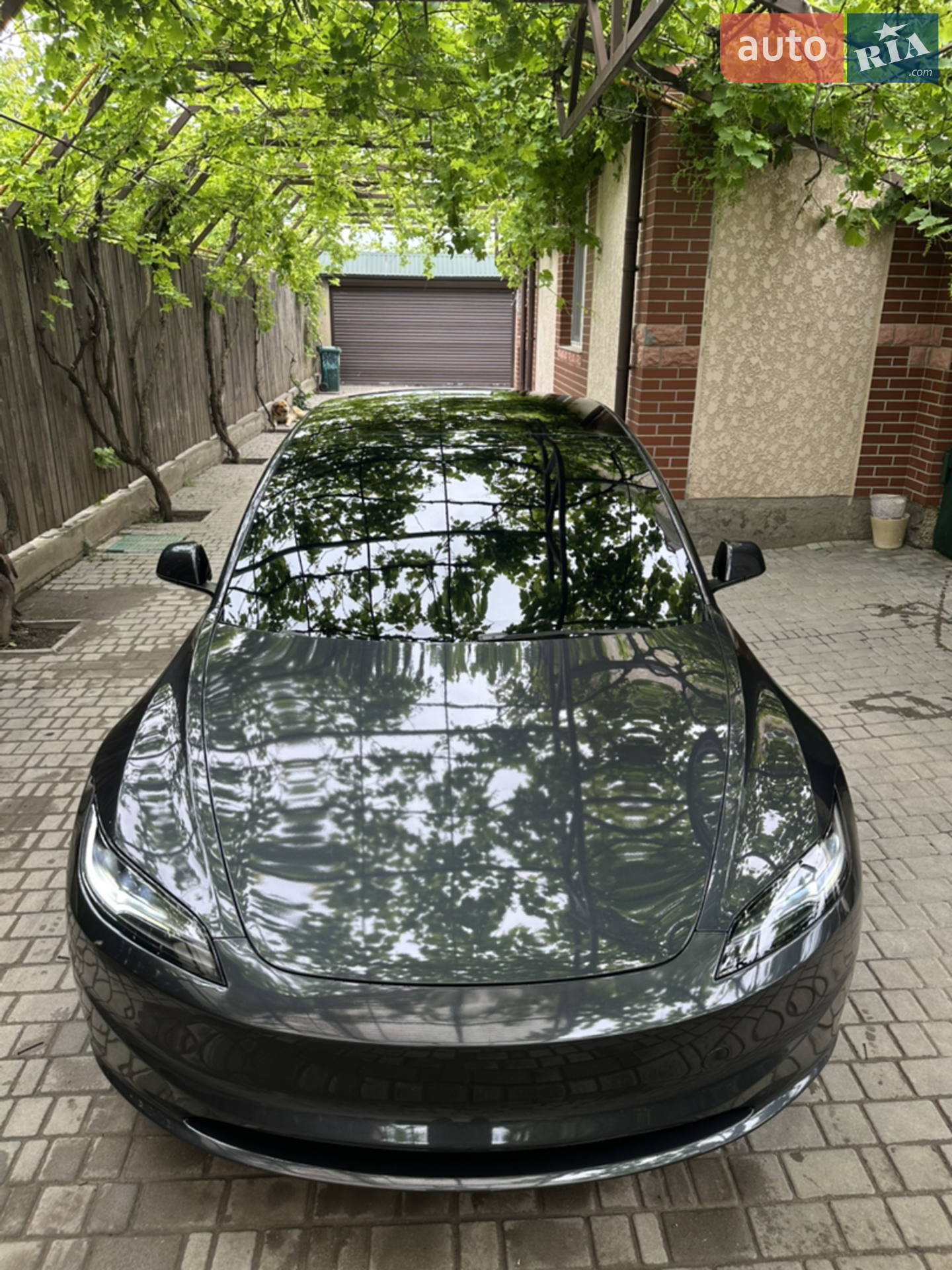 2024 Tesla Model 3 - мініатюра 52