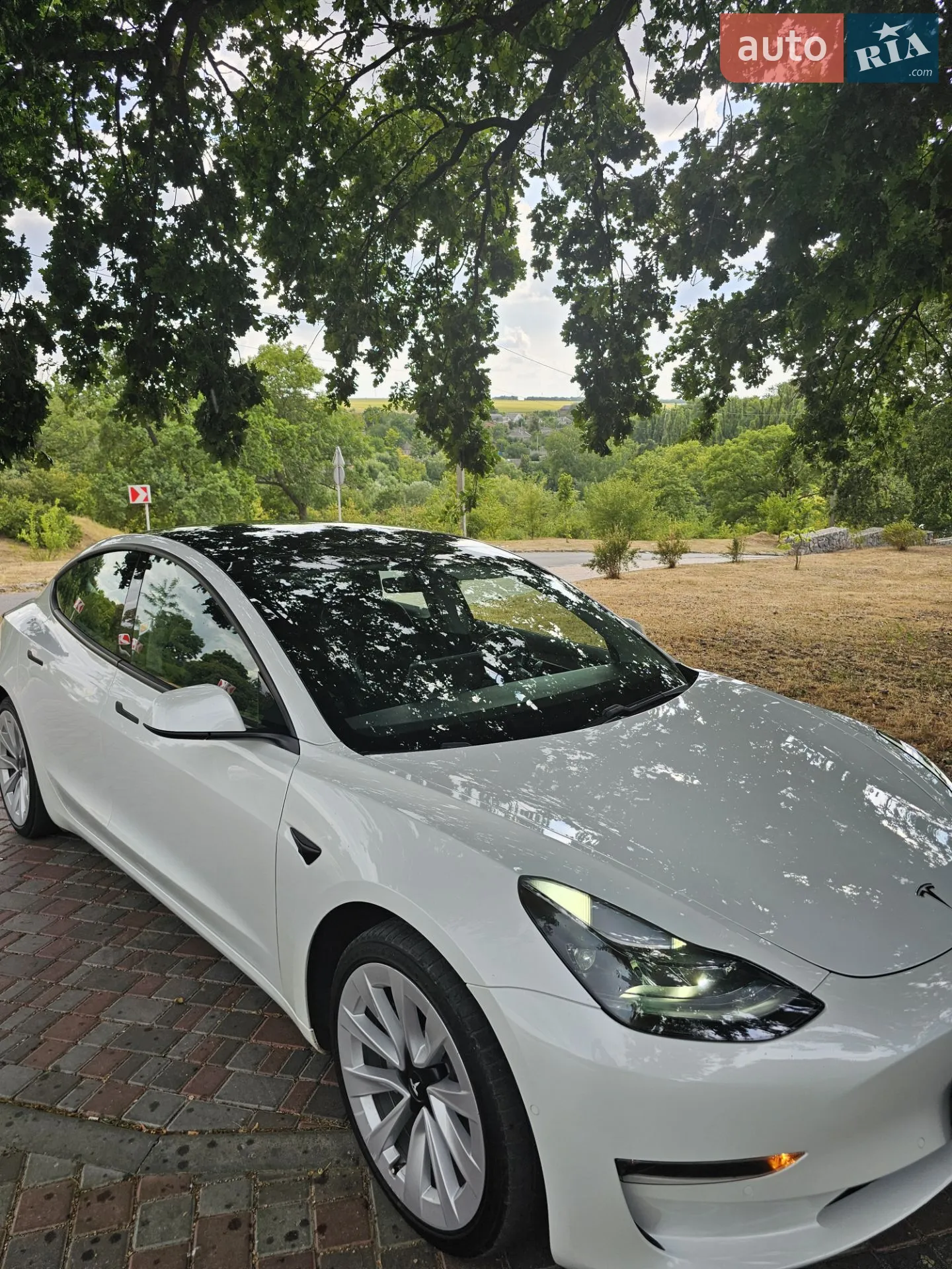 2021 Tesla Model 3 - мініатюра 6