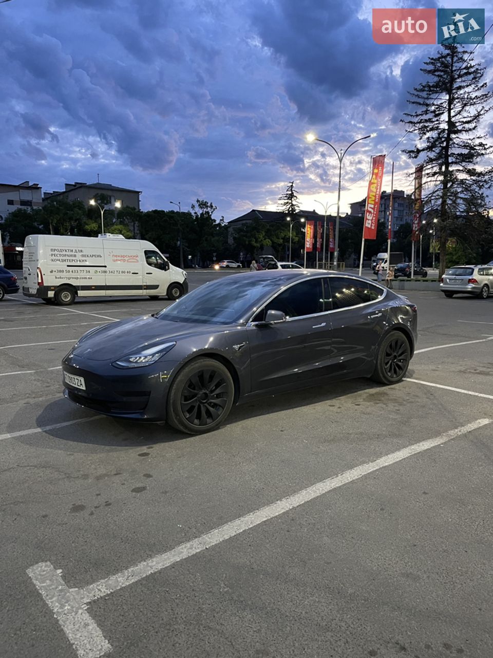 2019 Tesla Model 3 - мініатюра 13
