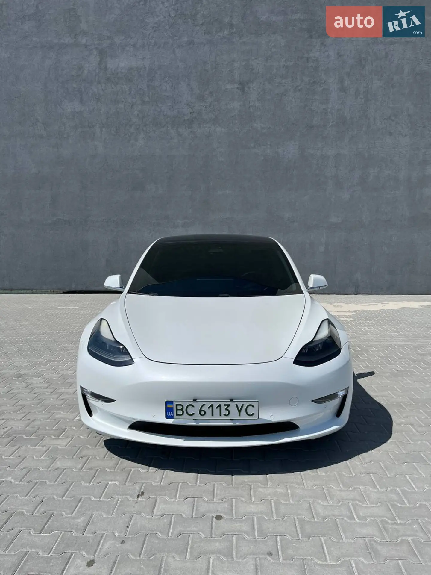 2019 Tesla Model 3 - мініатюра 2