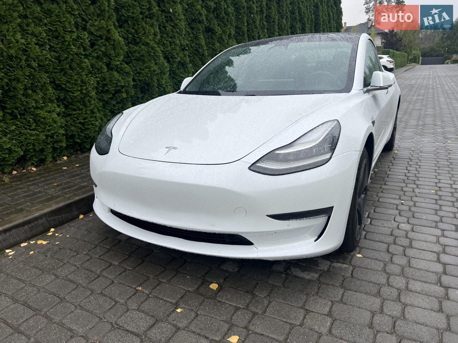 2019 Tesla Model 3 - мініатюра 3