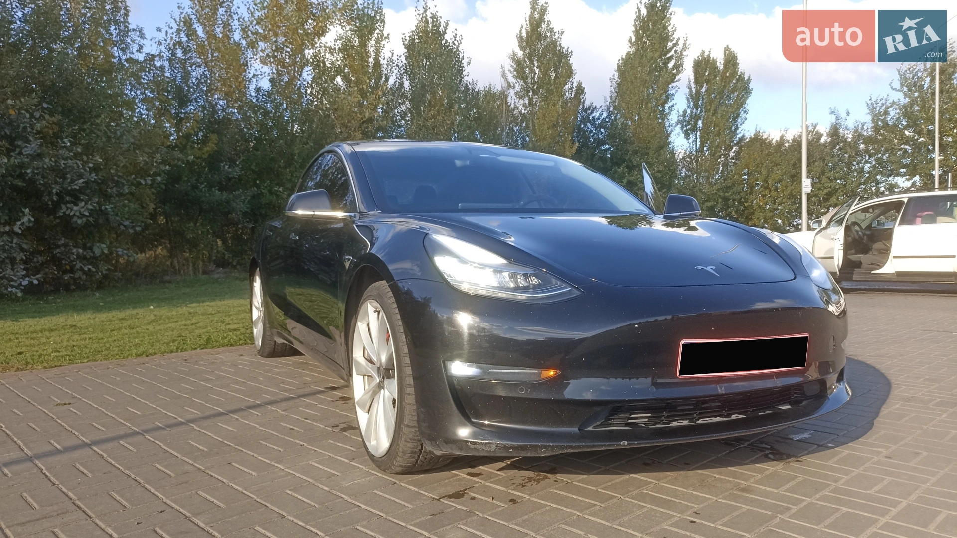 2019 Tesla Model 3 - мініатюра 11