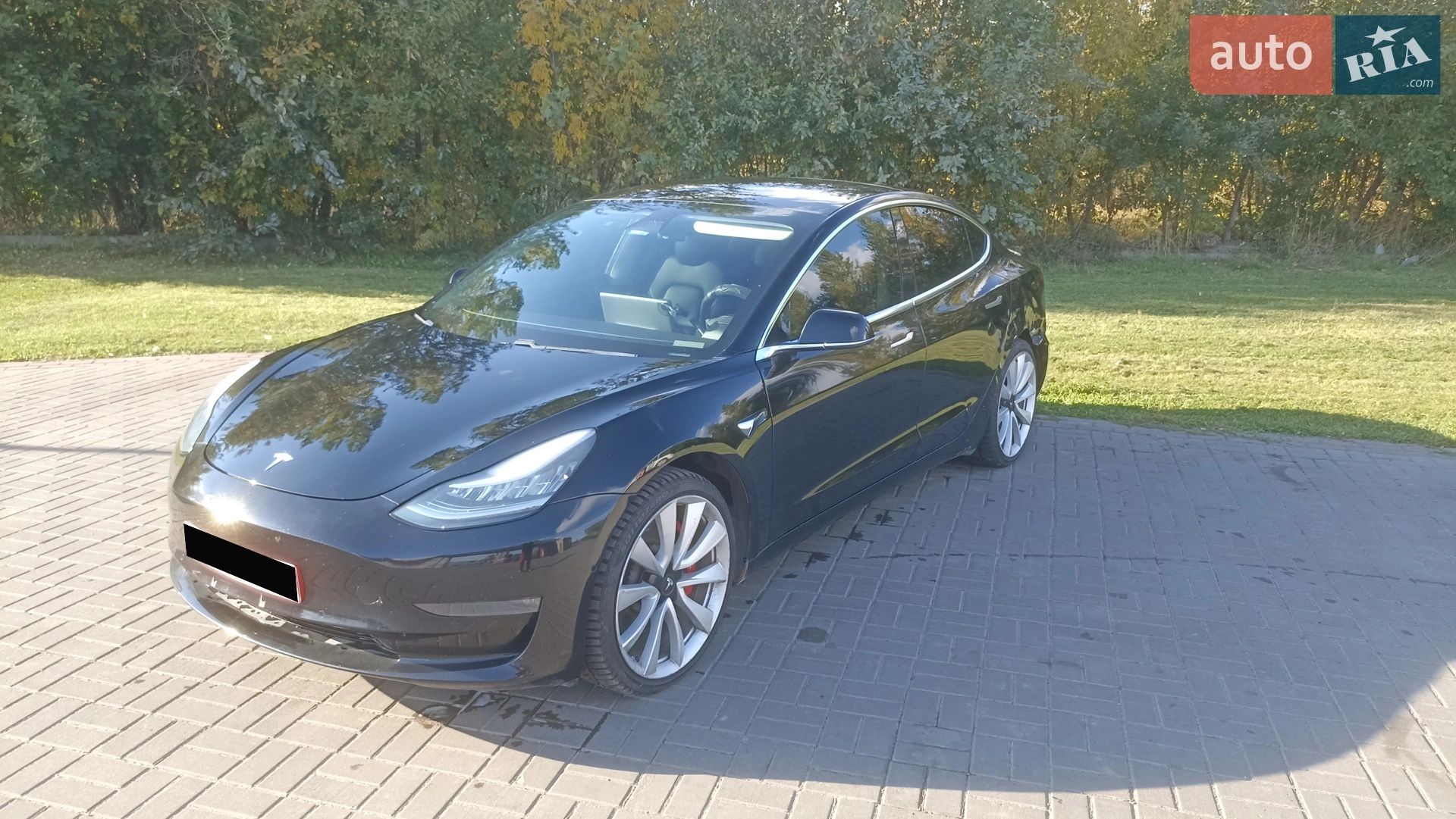 2019 Tesla Model 3 - мініатюра 9