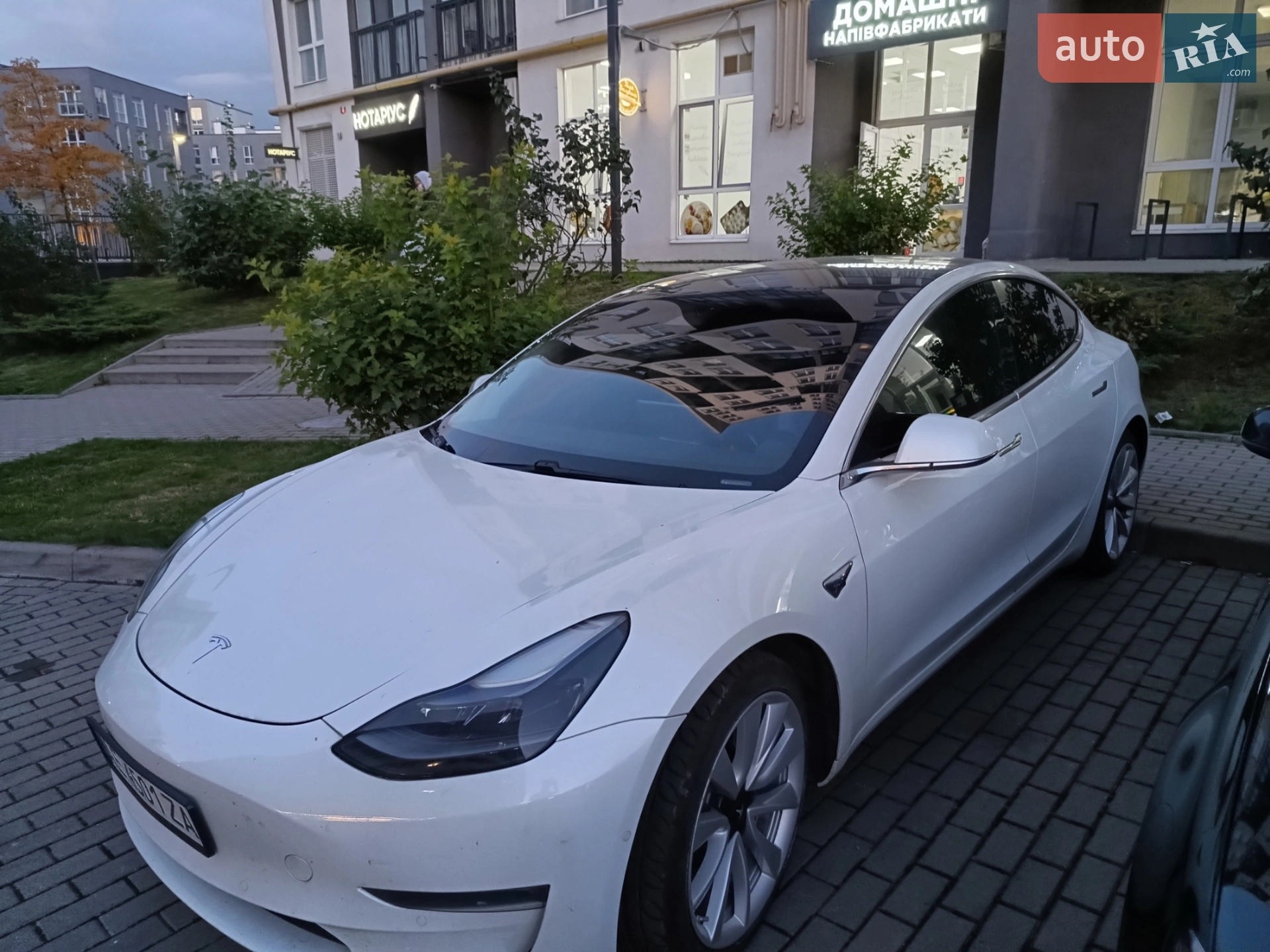 2019 Tesla Model 3 - фото 1