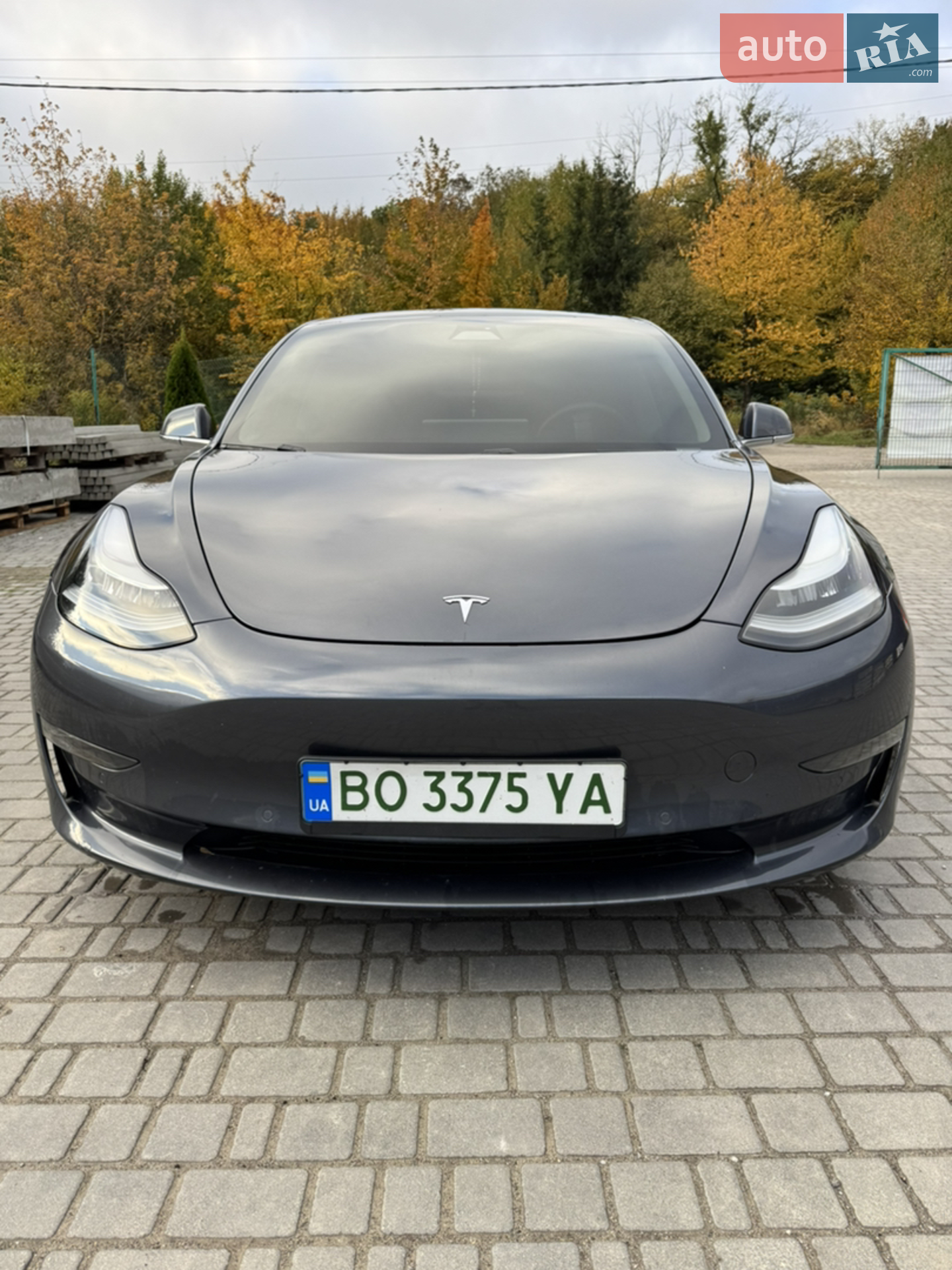 2019 Tesla Model 3 - мініатюра 4