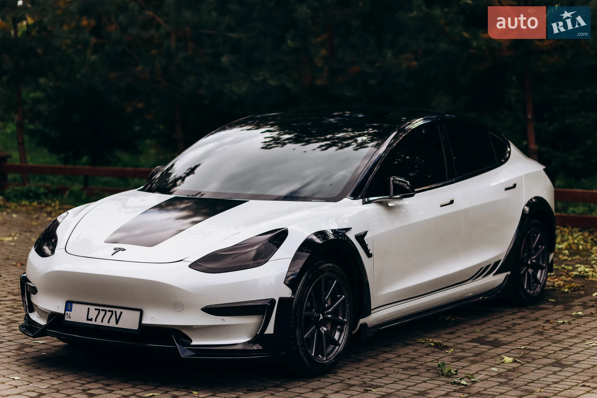 2019 Tesla Model 3 - мініатюра 11