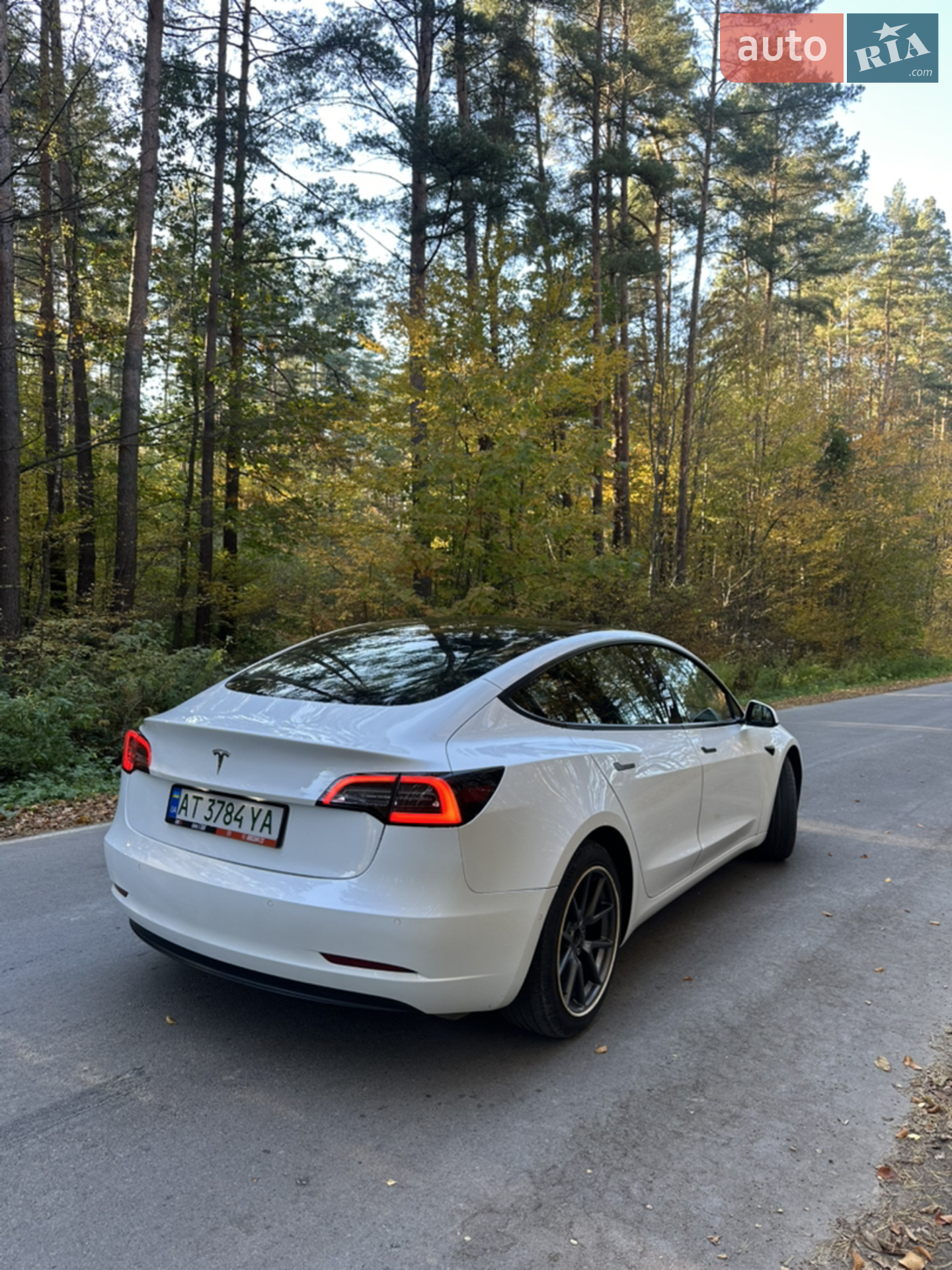 2021 Tesla Model 3 - мініатюра 5