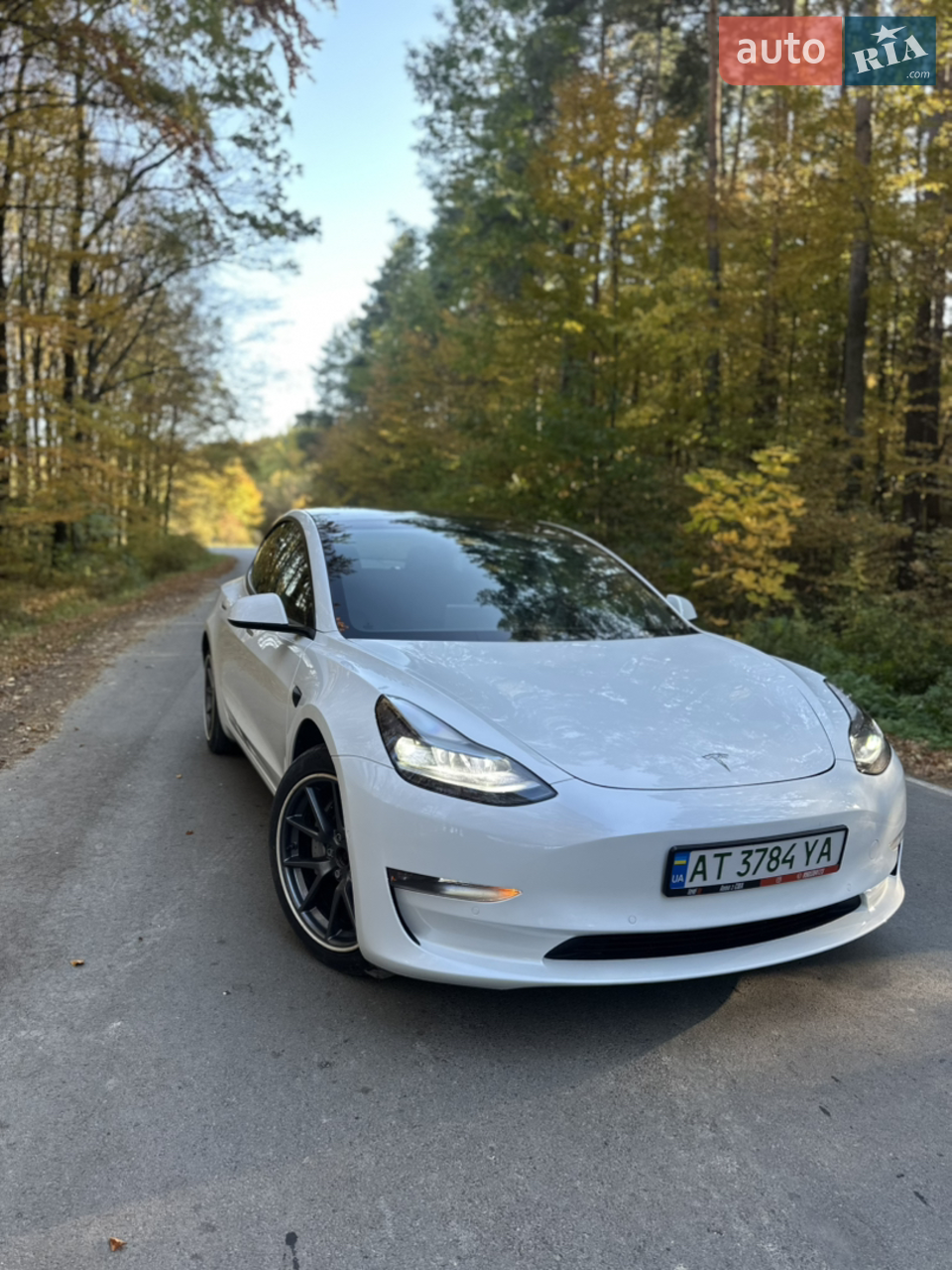 2022 Tesla Model 3 - мініатюра 47