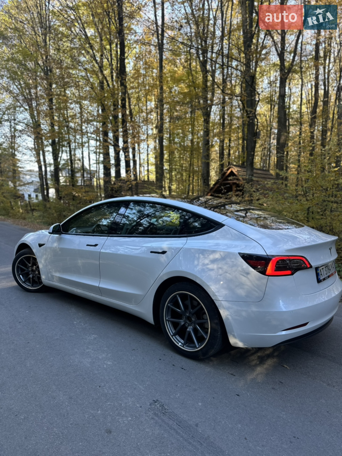 2021 Tesla Model 3 - мініатюра 7