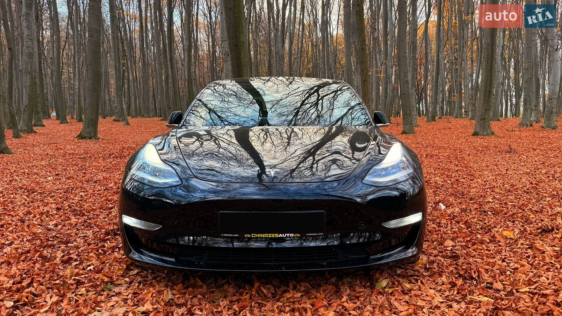 2019 Tesla Model 3 - мініатюра 2