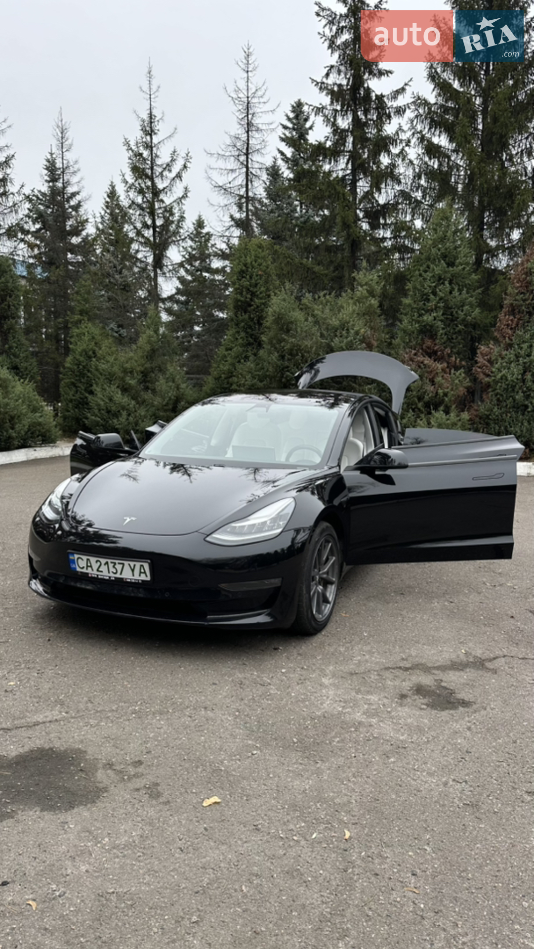 2018 Tesla Model 3 - мініатюра 15