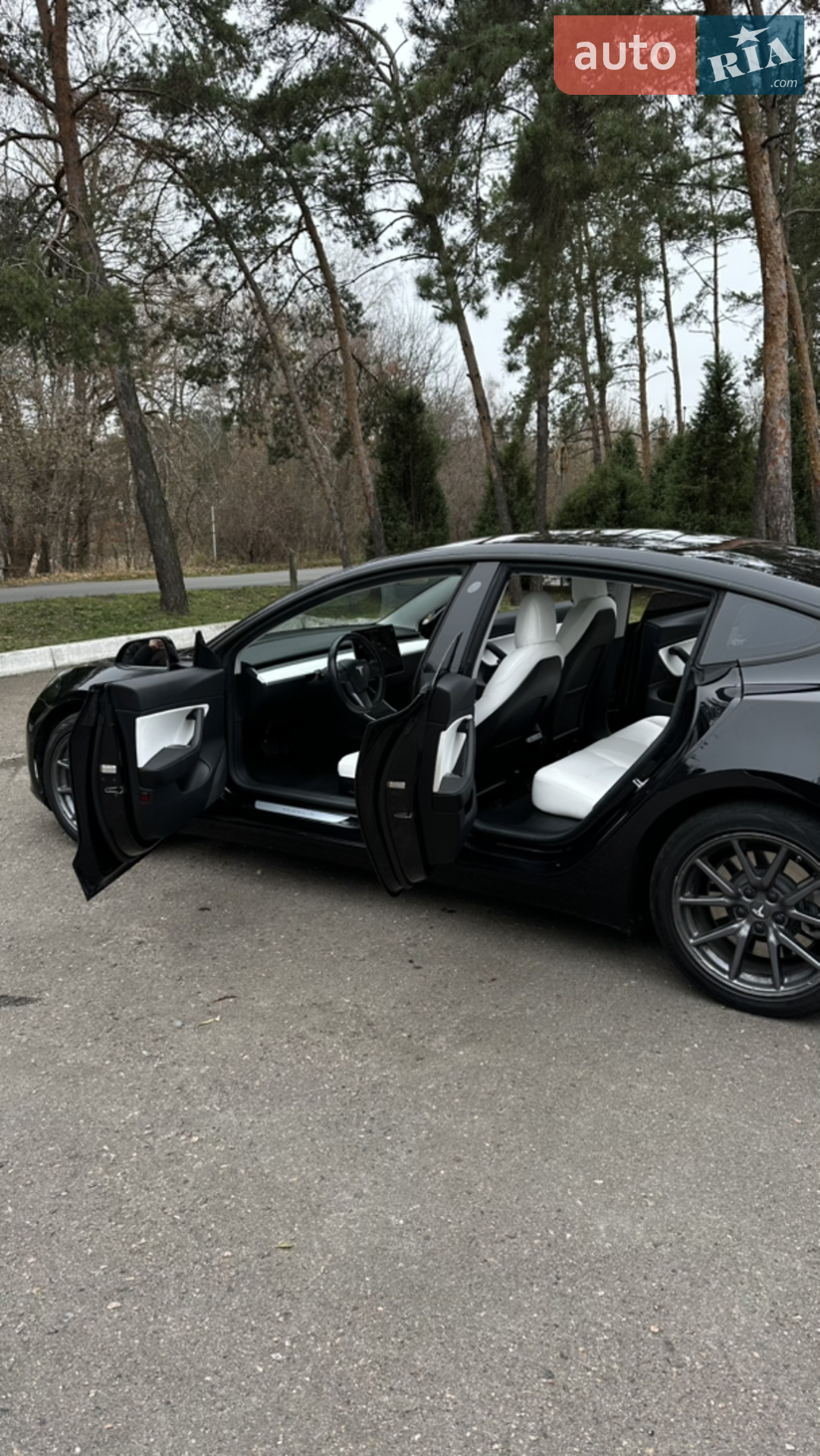 2018 Tesla Model 3 - мініатюра 17
