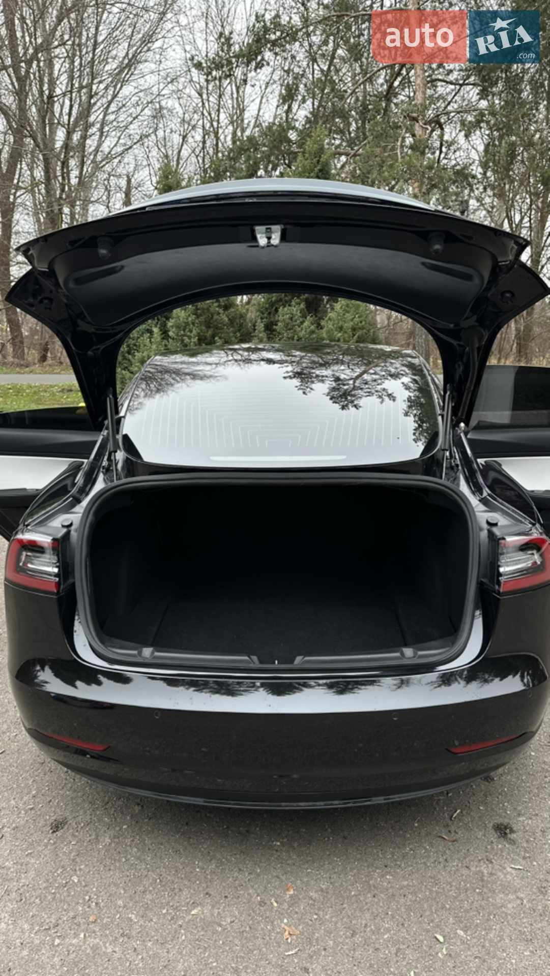 2018 Tesla Model 3 - мініатюра 24