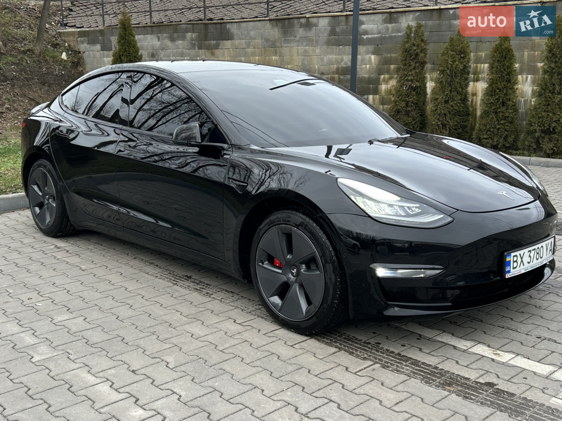 2019 Tesla Model 3 - мініатюра 2