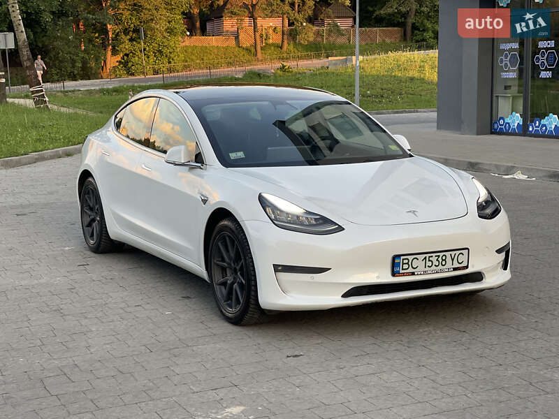 2019 Tesla Model 3, VIN 5YJ3E1EB5KF493399:plate — фото 1 (autoria)