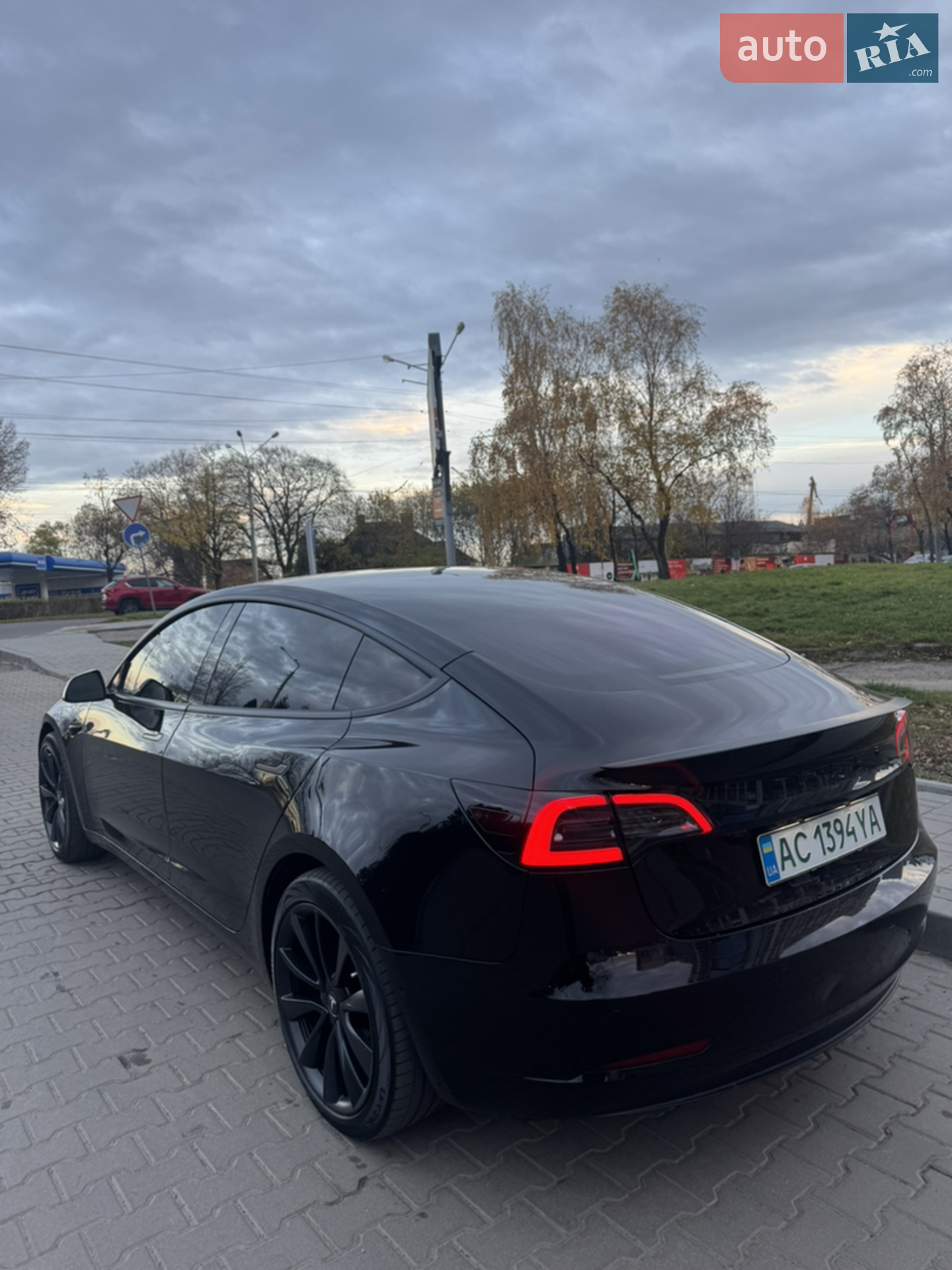 2019 Tesla Model 3 - мініатюра 3